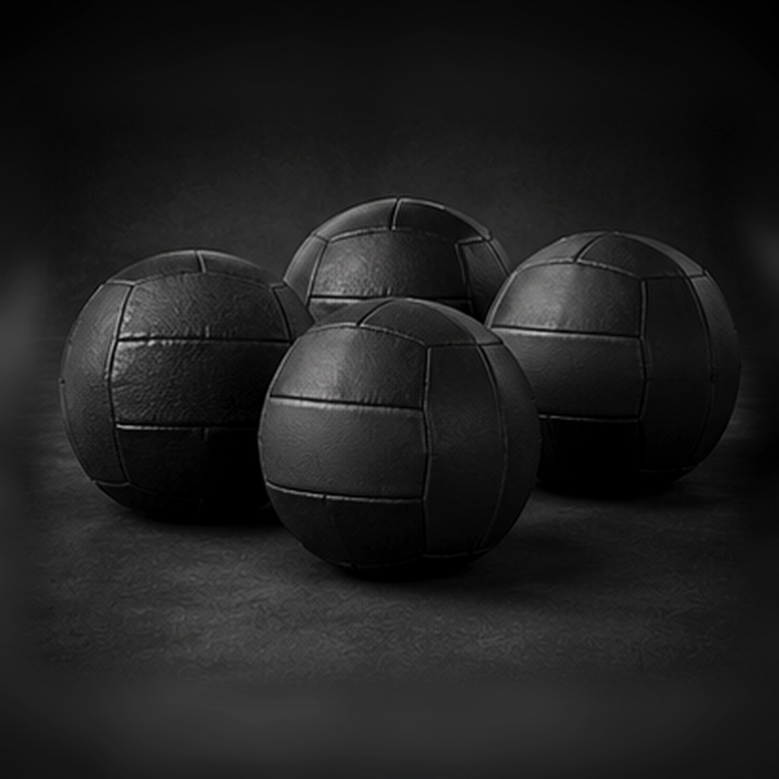 Holtmark Fitness product photo