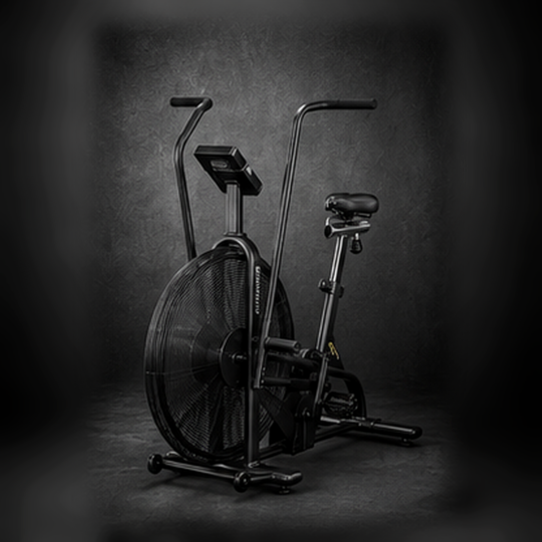 Holtmark Fitness Air Bike product photo