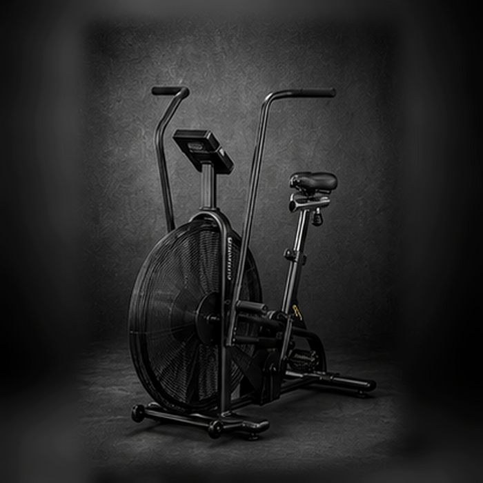 Holtmark Fitness Air Bike product photo